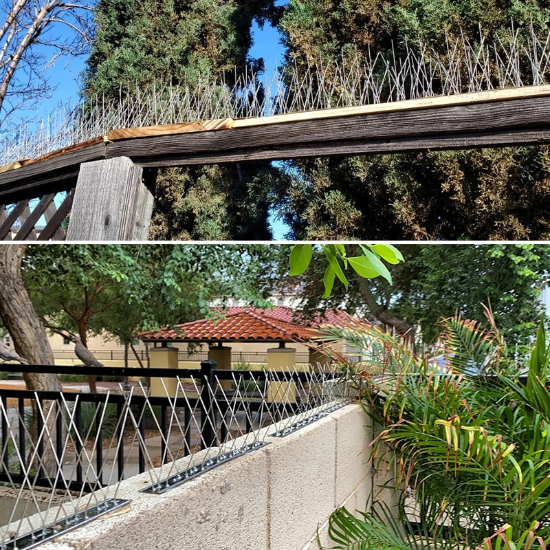 Stainless Steel Bird Repellent Spikes — Humane Pigeon & Bird Deterrent for Balconies & Roofs