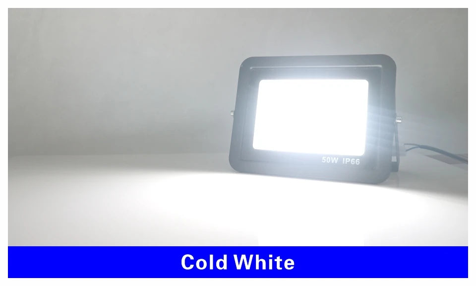 DC 12V LED Flood Light — 20W/30W/50W/100W Waterproof Outdoor Spotlight IP66