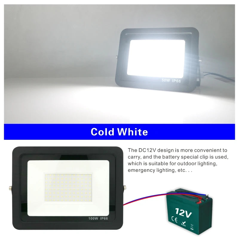 DC 12V LED Flood Light — 20W/30W/50W/100W Waterproof Outdoor Spotlight IP66
