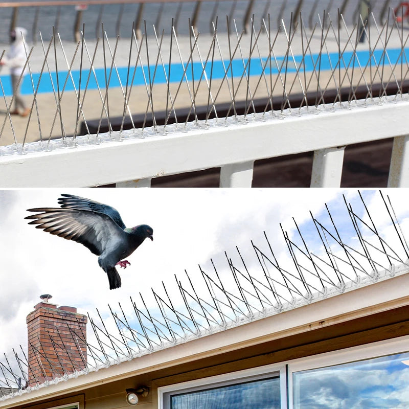 Stainless Steel Bird Repellent Spikes — Humane Pigeon & Bird Deterrent for Balconies & Roofs