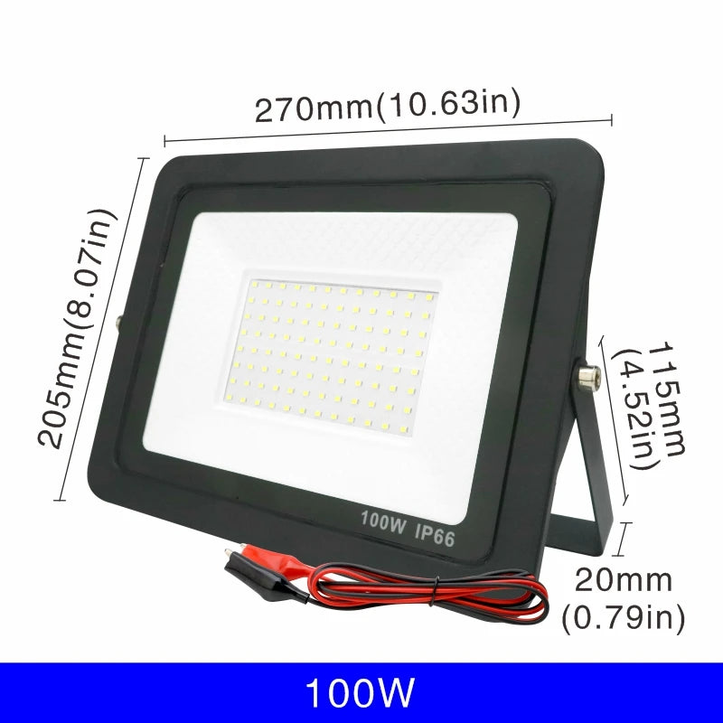 DC 12V LED Flood Light — 20W/30W/50W/100W Waterproof Outdoor Spotlight IP66